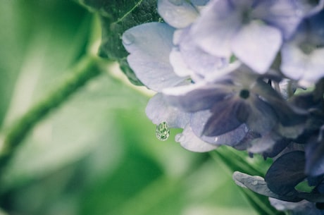 茉莉雨-最新的秒杀体验