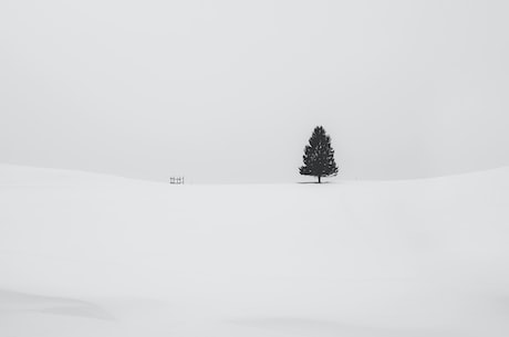 小雪的节气特点——冬天越来越近了