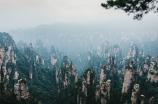 张家界有哪些景点(来张家界旅游必去的十大景点)