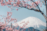 长春一日游(【长春一日游】畅游长春，明晰北国魅力)